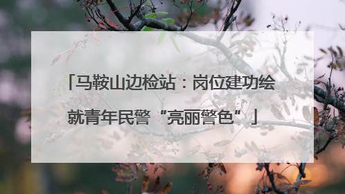 马鞍山边检站：岗位建功绘就青年民警“亮丽警色”