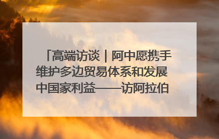 高端访谈｜阿中愿携手维护多边贸易体系和发展中国家利益——访阿拉伯议会议长亚马希