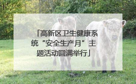 高新区卫生健康系统“安全生产月”主题活动圆满举行