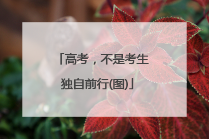 高考，不是考生独自前行(图)