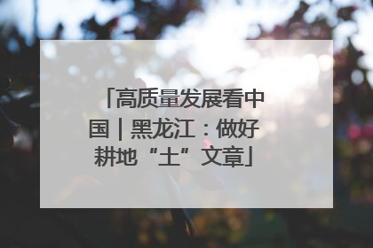 高质量发展看中国｜黑龙江：做好耕地“土”文章