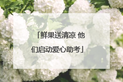 鲜果送清凉 他们启动爱心助考