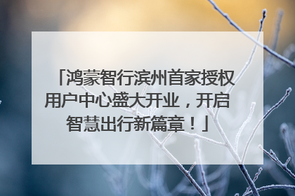 鸿蒙智行滨州首家授权用户中心盛大开业，开启智慧出行新篇章！