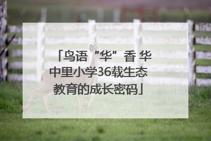 鸟语“华”香 华中里小学36载生态教育的成长密码