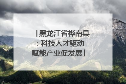 黑龙江省桦南县：科技人才驱动 赋能产业促发展