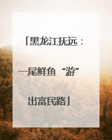 黑龙江抚远：一尾鲜鱼“游”出富民路
