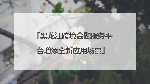 黑龙江跨境金融服务平台增添全新应用场景