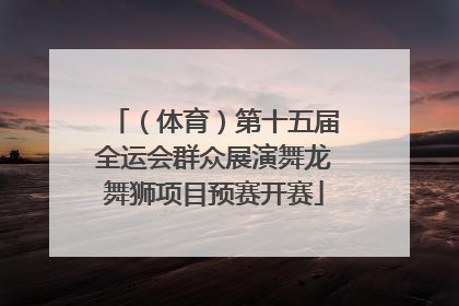 （体育）第十五届全运会群众展演舞龙舞狮项目预赛开赛
