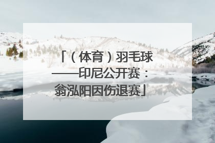（体育）羽毛球——印尼公开赛：翁泓阳因伤退赛