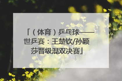 （体育）乒乓球——世乒赛：王楚钦/孙颖莎晋级混双决赛