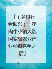 （乡村行·看振兴）一座肉牛小镇入选国家级农业产业强镇名单之后
