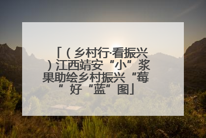 （乡村行·看振兴）江西靖安“小”浆果助绘乡村振兴“莓”好“蓝”图