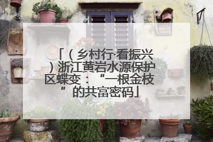 （乡村行·看振兴）浙江黄岩水源保护区蝶变：“一根金枝”的共富密码