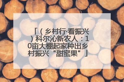 （乡村行·看振兴）科尔沁新农人：10亩大棚起家种出乡村振兴“甜蜜果”