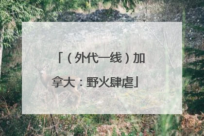 （外代一线）加拿大：野火肆虐