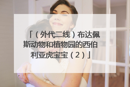 （外代二线）布达佩斯动物和植物园的西伯利亚虎宝宝（2）