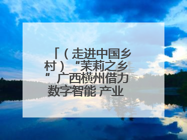 （走进中国乡村）“茉莉之乡”广西横州借力数字智能 产业升级香飘海外
