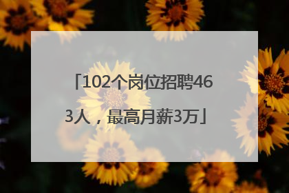 102个岗位招聘463人，最高月薪3万