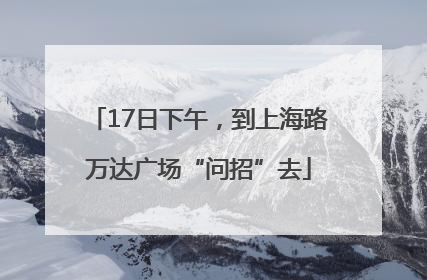 17日下午，到上海路万达广场“问招”去