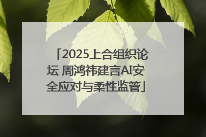 2025上合组织论坛 周鸿祎建言AI安全应对与柔性监管