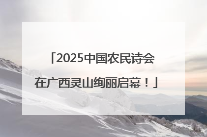2025中国农民诗会在广西灵山绚丽启幕！