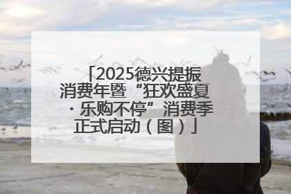 2025德兴提振消费年暨“狂欢盛夏・乐购不停”消费季正式启动（图）