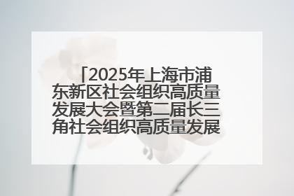 2025年上海市浦东新区社会组织高质量发展大会暨第二届长三角社会组织高质量发展峰会成功举办