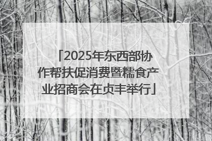 2025年东西部协作帮扶促消费暨糯食产业招商会在贞丰举行
