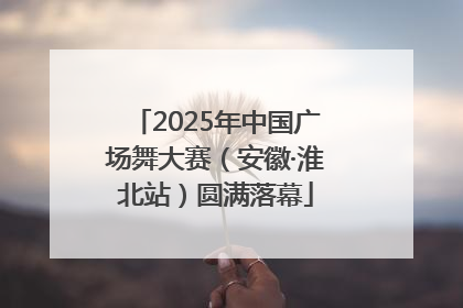 2025年中国广场舞大赛（安徽·淮北站）圆满落幕