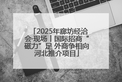 2025年廊坊经洽会·现场丨国际招商“磁力”足 外商争相向河北推介项目