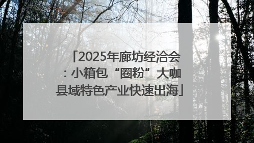2025年廊坊经洽会：小箱包“圈粉”大咖 县域特色产业快速出海