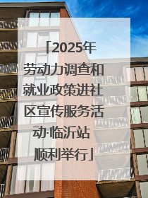 2025年劳动力调查和就业政策进社区宣传服务活动·临沂站 顺利举行