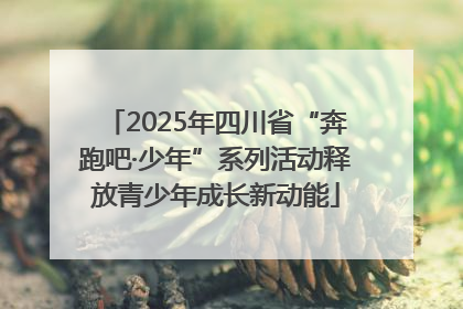 2025年四川省“奔跑吧·少年”系列活动释放青少年成长新动能