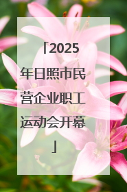 2025年日照市民营企业职工运动会开幕