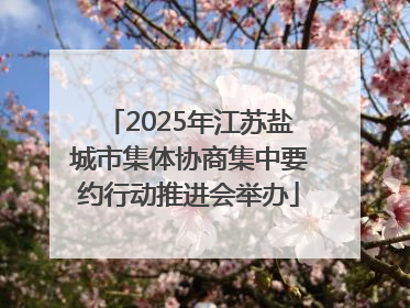 2025年江苏盐城市集体协商集中要约行动推进会举办