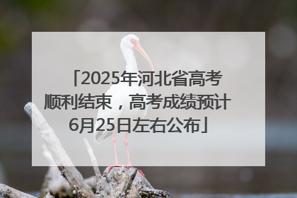 2025年河北省高考顺利结束，高考成绩预计6月25日左右公布