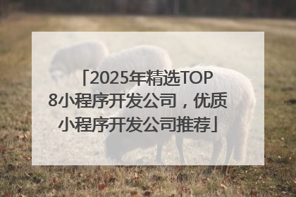 2025年精选TOP8小程序开发公司，优质小程序开发公司推荐