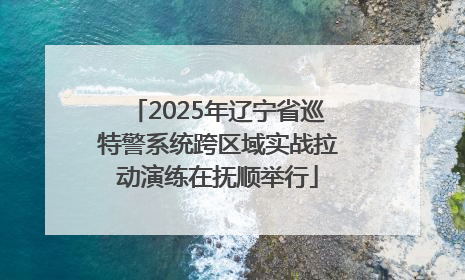2025年辽宁省巡特警系统跨区域实战拉动演练在抚顺举行