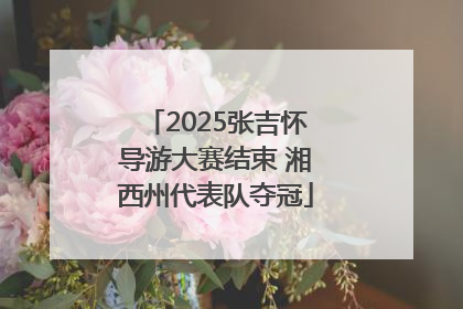 2025张吉怀导游大赛结束 湘西州代表队夺冠