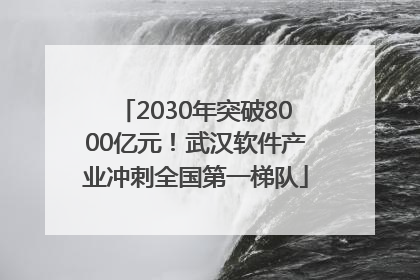 2030年突破8000亿元！武汉软件产业冲刺全国第一梯队