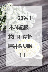 20名！本科起报！龙门石窟招聘讲解员啦！