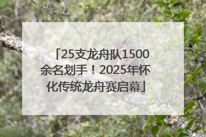 25支龙舟队1500余名划手！2025年怀化传统龙舟赛启幕