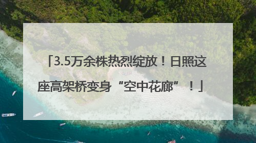 3.5万余株热烈绽放！日照这座高架桥变身“空中花廊”！