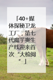 40+媒体探秘卫龙工厂，第七代魔芋爽生产线迎来首次“大检阅”