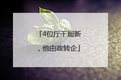 4位厅干履新，他由政转企