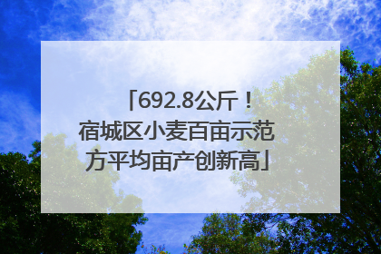 692.8公斤！宿城区小麦百亩示范方平均亩产创新高