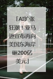 AI扩张狂潮！亚马逊宣布再向美国东海岸砸200亿美元