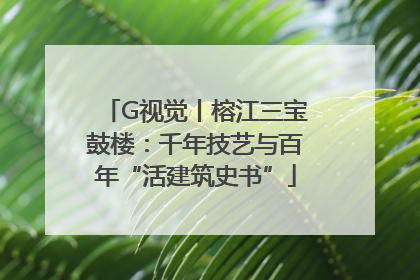 G视觉丨榕江三宝鼓楼：千年技艺与百年“活建筑史书”