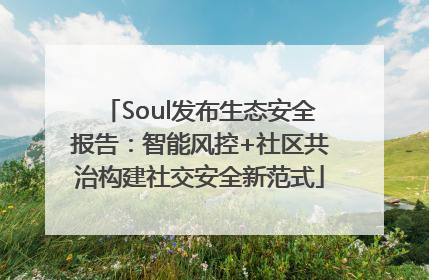 Soul发布生态安全报告：智能风控+社区共治构建社交安全新范式